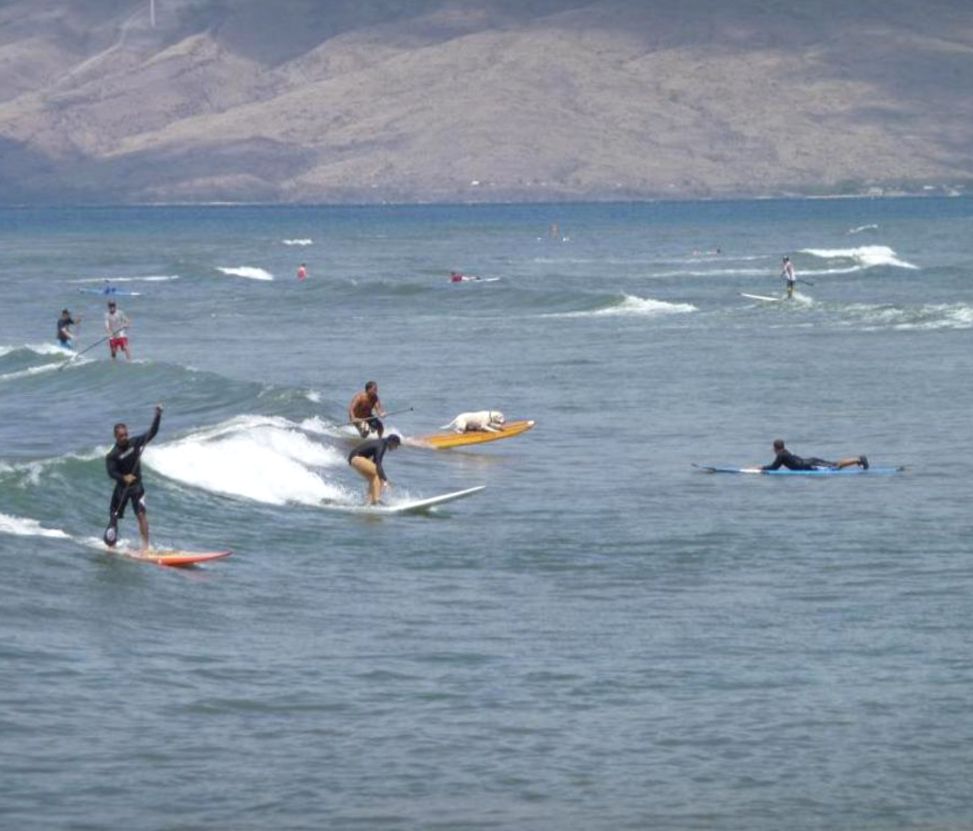Top Ten Hawaii Beginner Surf Spots