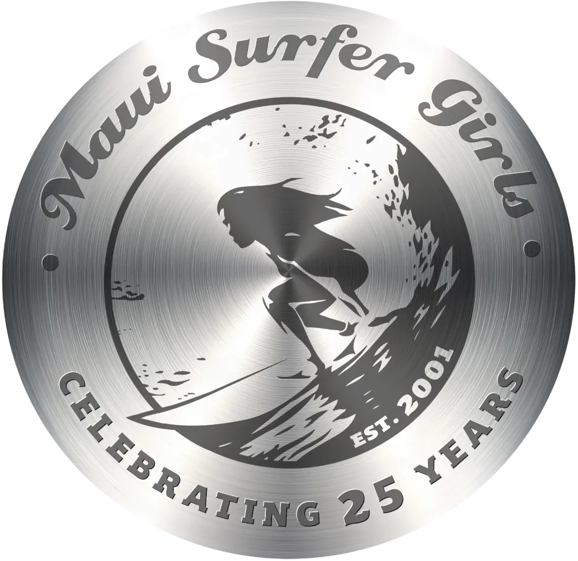 Footer silver logo