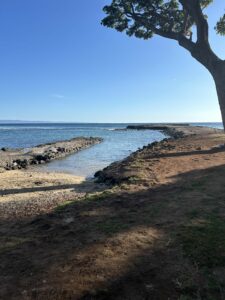 top ten activities in olowalu maui 2025 white lotus maui boat ramp 